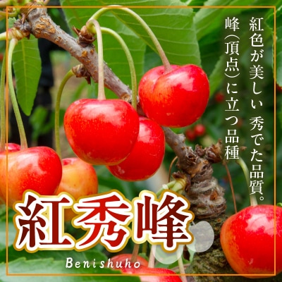 【先行受付】 令和8年産 さくらんぼ やまがた紅王 紅秀峰 詰合せ 各200g 計400g