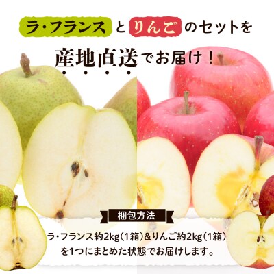 【先行受付】 令和8年産 りんご & ラ・フランス 詰め合わせ セット 各 約2kg 計 約4kg