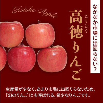 【先行受付】 令和8年産 高徳 りんご 秀以上 約1.8kg 6玉 ～ 12玉