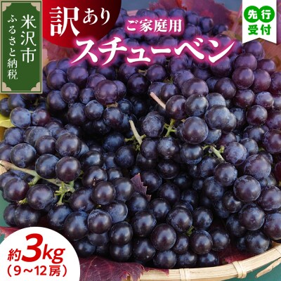 【先行受付】令和8年産 家庭用 訳あり ぶどう スチューベン(種あり)3kg(9～12房)