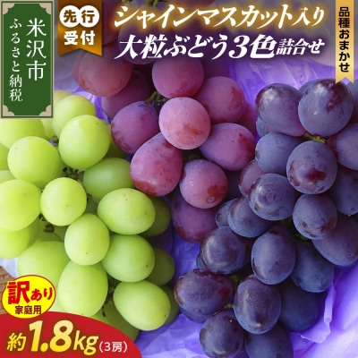 【先行受付】令和8年産 家庭用 訳あり シャインマスカット入り 3色大粒ぶどう詰合せ 1.8kg