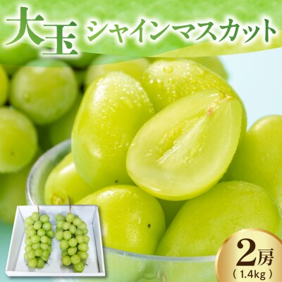 【先行予約】 【数量限定】 令和8年産 大玉 シャインマスカット 2房 1.4kg