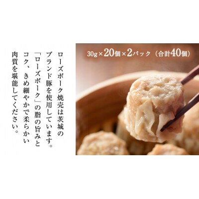 【国産素材】ローズポーク焼売 40個 & ジューシー白菜餃子 50個セット 冷凍 [BN003ya]