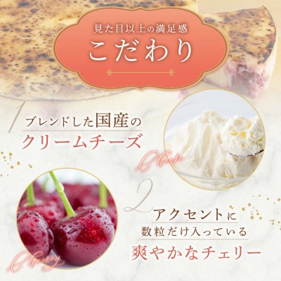 御献上チーズケーキ(約360g×1台) 御献上カスティーラ|15_gkt-020101