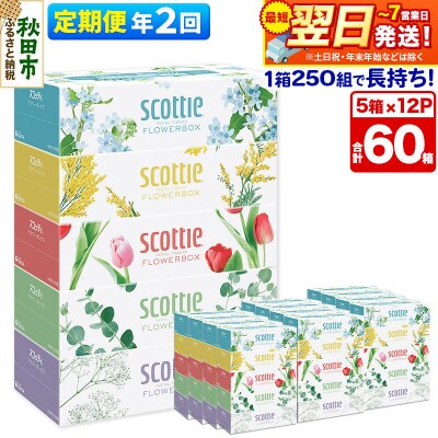 《2回定期便》ティッシュ フラワーボックス 60箱 5箱×12P|15_nsc-071202