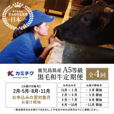 【カミチク特選定期便 全4回】A5等級鹿児島黒毛和牛定期便