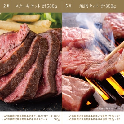 【カミチク特選定期便 全4回】A5等級鹿児島黒毛和牛定期便