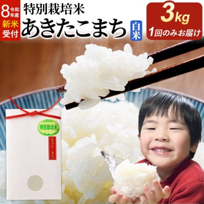 令和8年産 新米 特別栽培米 あきたこまち 3kg|22_oks-110301s