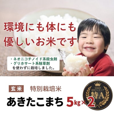 米 令和7年産【特別栽培米】あきたこまち【精米】10kg(5kg×2)|22_oks-111001