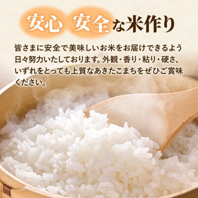 米 あきたこまち 白米 5kg 伊藤精米店|22_its-010501