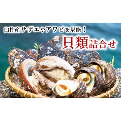 【臼杵産】新鮮な貝類詰め合わせ