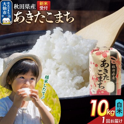 白米 あきたこまち 一等米 10kg 秋田県 R8年|22_kml-011001s