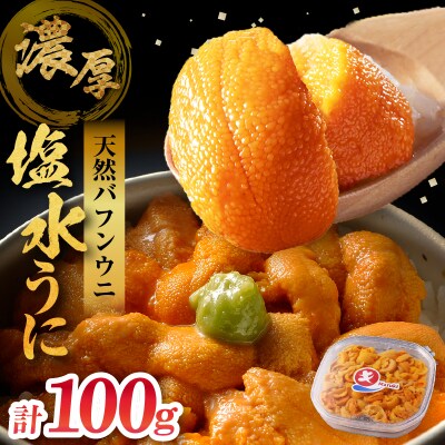 ≪氷温熟成≫塩水うに(天然バフンウニ)　100g×1パック_H0009-108