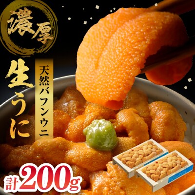 ≪氷温熟成≫生うに(天然バフンウニ)100g×2枚_H0009-112