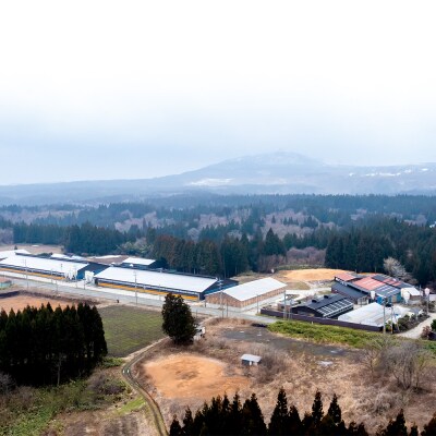 和牛なまはげ イチボステーキ 100g 大進農場|23_dsf-070101