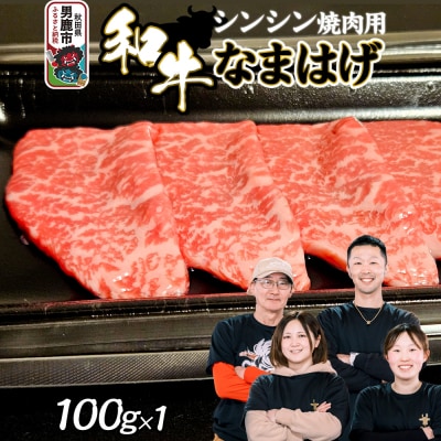 和牛なまはげ シンシン焼肉用 100g 大進農場|23_dsf-080101