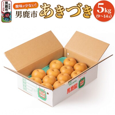 【令和8年度 早期受付】あきづき 5kg 9～14玉 梨 秋田県 男鹿市|23_fre-040501
