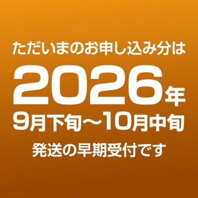 【令和8年度 早期受付】秋泉 梨 4玉 6L～ 梨 なし 秋田県 男鹿市|23_fre-050401