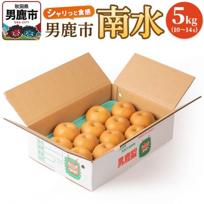 【令和8年度 早期受付】南水 5kg 10玉～14玉 梨 秋田県 男鹿市|23_fre-060501