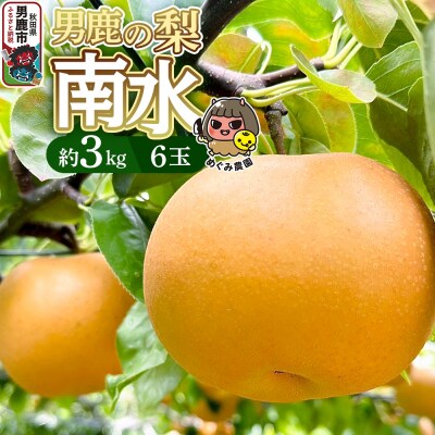 《先行受付》男鹿の梨 南水 約3kg 6玉 梨 秋田県 男鹿市|23_mgm-020301