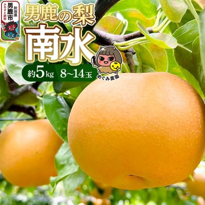 《先行受付》男鹿の梨 南水 約5kg 8～14玉 梨 秋田県 男鹿市|23_mgm-020501