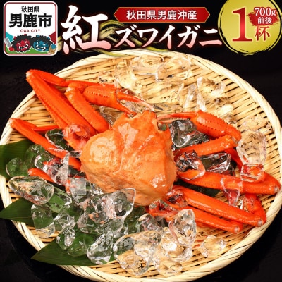 男鹿沖産紅ズワイガニ 700g 前後×1杯 男鹿なび 蟹 国産 秋田|23_ogn-170101
