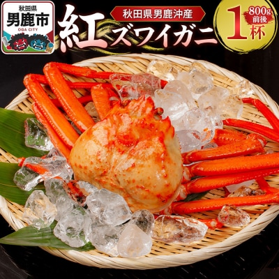 男鹿沖産紅ズワイガニ 800g 前後×1杯 男鹿なび 蟹 国産 秋田|23_ogn-180101