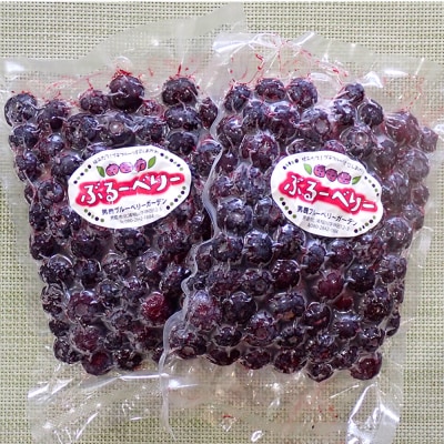 【男鹿ぶるーべりーガーデン】冷凍ブルーベリー250g×2パック計500g|23_sea-020501