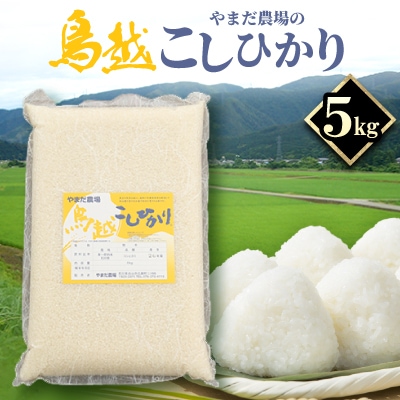 やまだ農場の鳥越こしひかり5kg　白米
