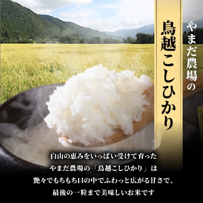 やまだ農場の鳥越こしひかり10kg(5kg×2パック)白米