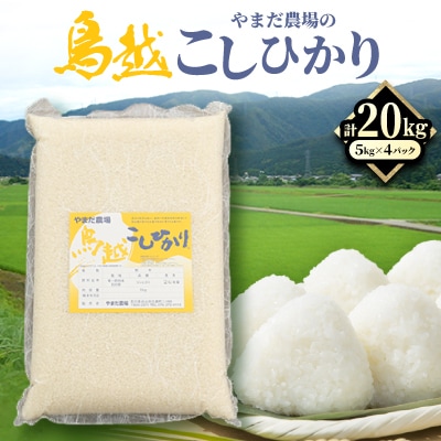 やまだ農場の鳥越こしひかり20kg(5kg×4パック)白米