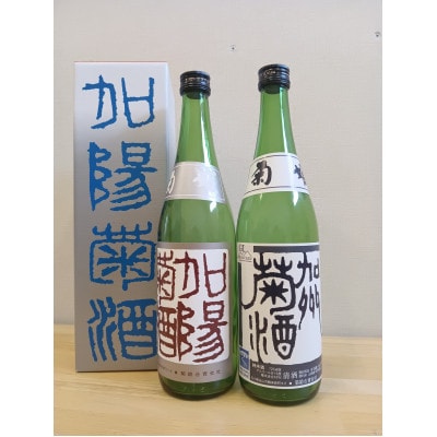 【白山の地酒】菊姫の菊酒セット　720ml×2本