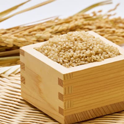 《白山鶴来の恵み》　稲ほ舎の銀のどじょう　玄米5kg