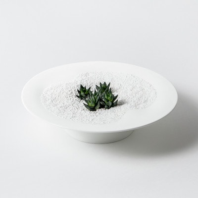 NIKKOの「Dune・Little by Little」+ボナース(TB-7)