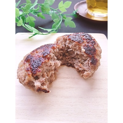 【2023年3月下旬発送】【能登牛】極上ハンバーグ　150g×8ヶ(のし付き)