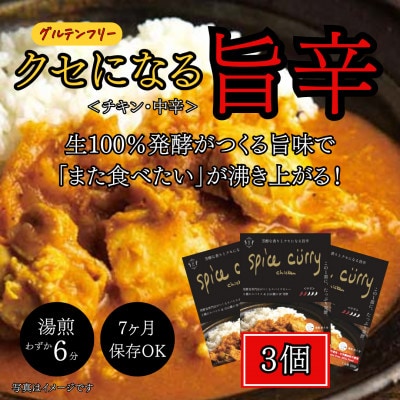 発酵スパイスカレー3個 ★5種のスパイスと白山麓のW発酵 芳醇な香り&クセになる旨辛 グルテンフリー