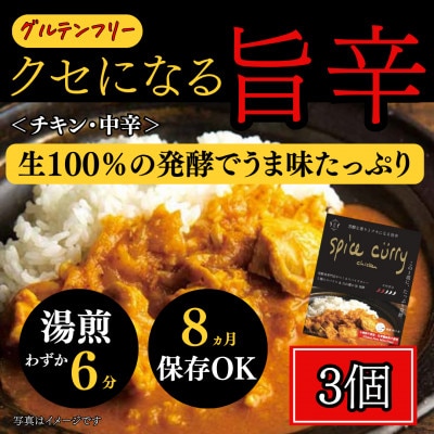 発酵スパイスカレー3個 ★5種のスパイスと白山麓のW発酵 芳醇な香り&クセになる旨辛 グルテンフリー