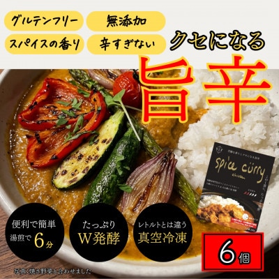 発酵スパイスカレー6個 ★白山麓のW発酵とスパイス5種  クセになる旨辛 グルテンフリー&無添加