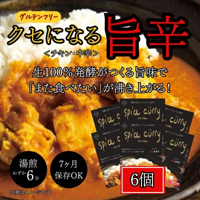 発酵スパイスカレー6個 ★白山麓のW発酵とスパイス5種  クセになる旨辛 グルテンフリー&無添加