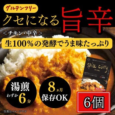 発酵スパイスカレー6個 ★白山麓のW発酵とスパイス5種  クセになる旨辛 グルテンフリー&無添加