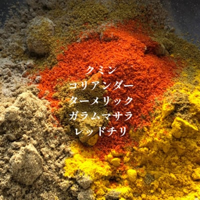 発酵スパイスカレー6個 ★5種のスパイスと白山麓のW発酵 芳醇な香り&クセになる旨辛 グルテンフリー