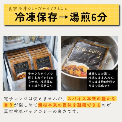 発酵スパイスカレー6個 ★白山麓のW発酵とスパイス5種  クセになる旨辛 グルテンフリー&無添加