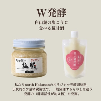 発酵スパイスカレー6個 ★5種のスパイスと白山麓のW発酵 芳醇な香り&クセになる旨辛 グルテンフリー