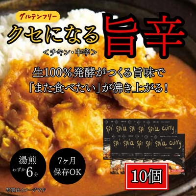 発酵スパイスカレー10個 ★白山麓のW発酵とスパイス5種  クセになる旨辛 グルテンフリー&無添加
