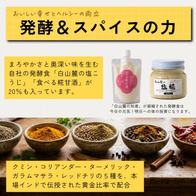 発酵スパイスカレー10個 ★白山麓のW発酵とスパイス5種  クセになる旨辛 グルテンフリー&無添加