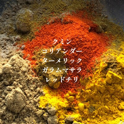 発酵スパイスカレー10個★5種のスパイスと白山麓のW発酵 芳醇な香り&クセになる旨辛 グルテンフリー