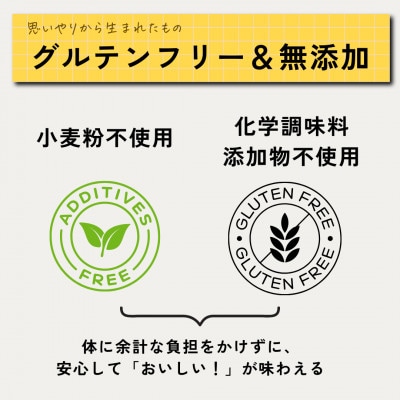 発酵スパイスカレー10個 ★白山麓のW発酵とスパイス5種  クセになる旨辛 グルテンフリー&無添加