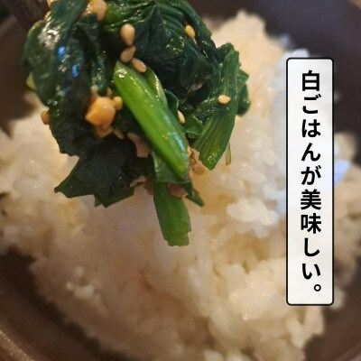 白山麓のしょうゆ糀 3個  ★生きた発酵食の万能調味料 ★手軽で便利、しっかり健康。★レシピ付