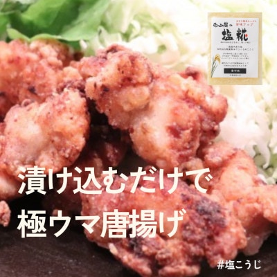 糀はじめてセット★発酵食の初心者ができる簡単レシピ付★お試しパックで失敗ナシ