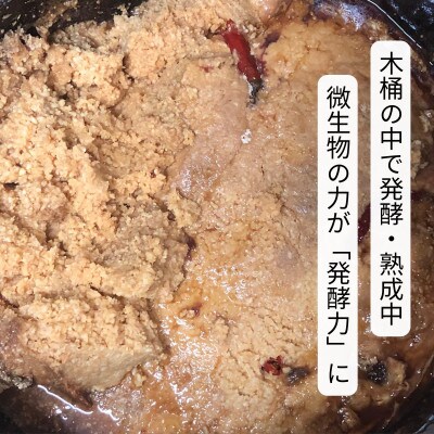 木桶仕込みの伝統味噌  500g×2個